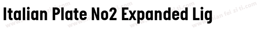 Italian Plate No2 Expanded Light字体转换